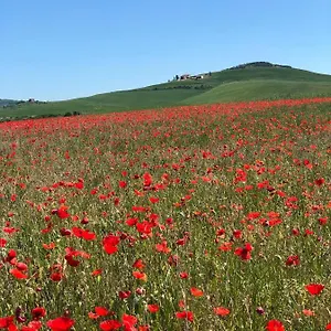 Фермерский дом Poggio Tobruk, Пиенца